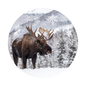 Winter Moose wreath sign