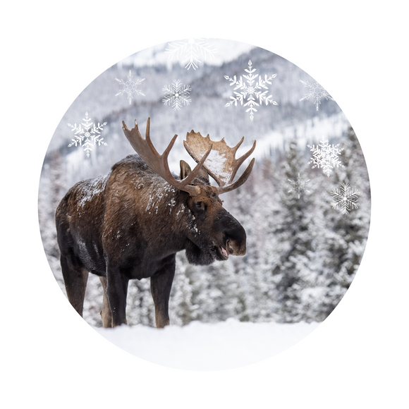 Winter Moose Wreath rail