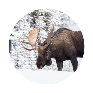 Winter Moose wreath sign