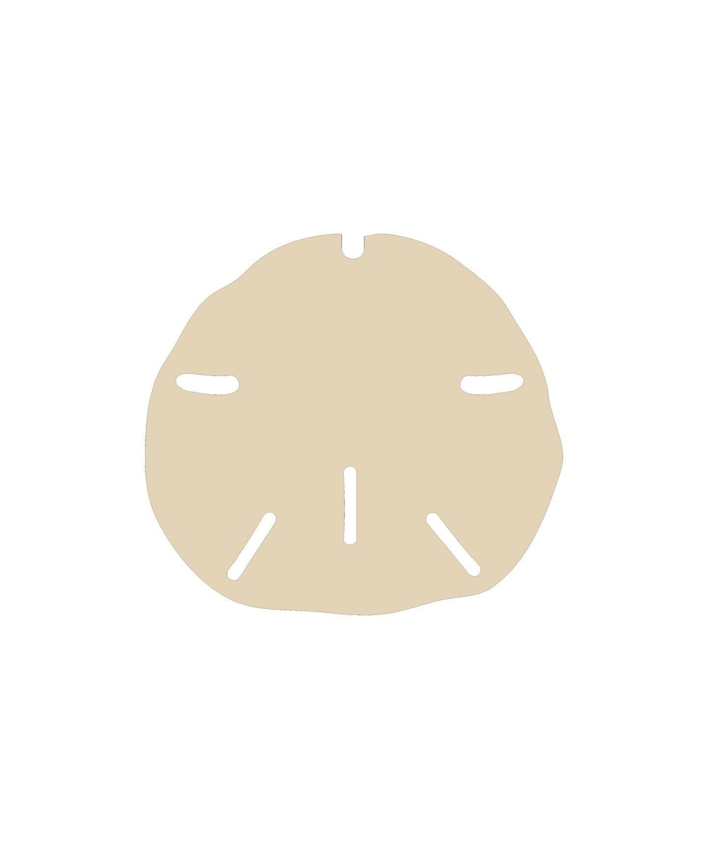 Sand Dollar Cutout