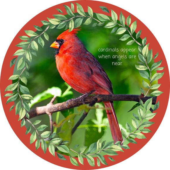 Everyday Cardinals appear when angels are near