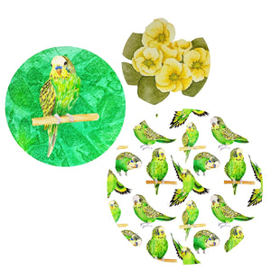 Parakeet Tiered Tray set