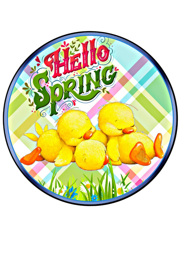Hello Spring Ducks -Wreath Sign